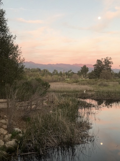 Moonrise at the Pink Moment from Ojai Meadows