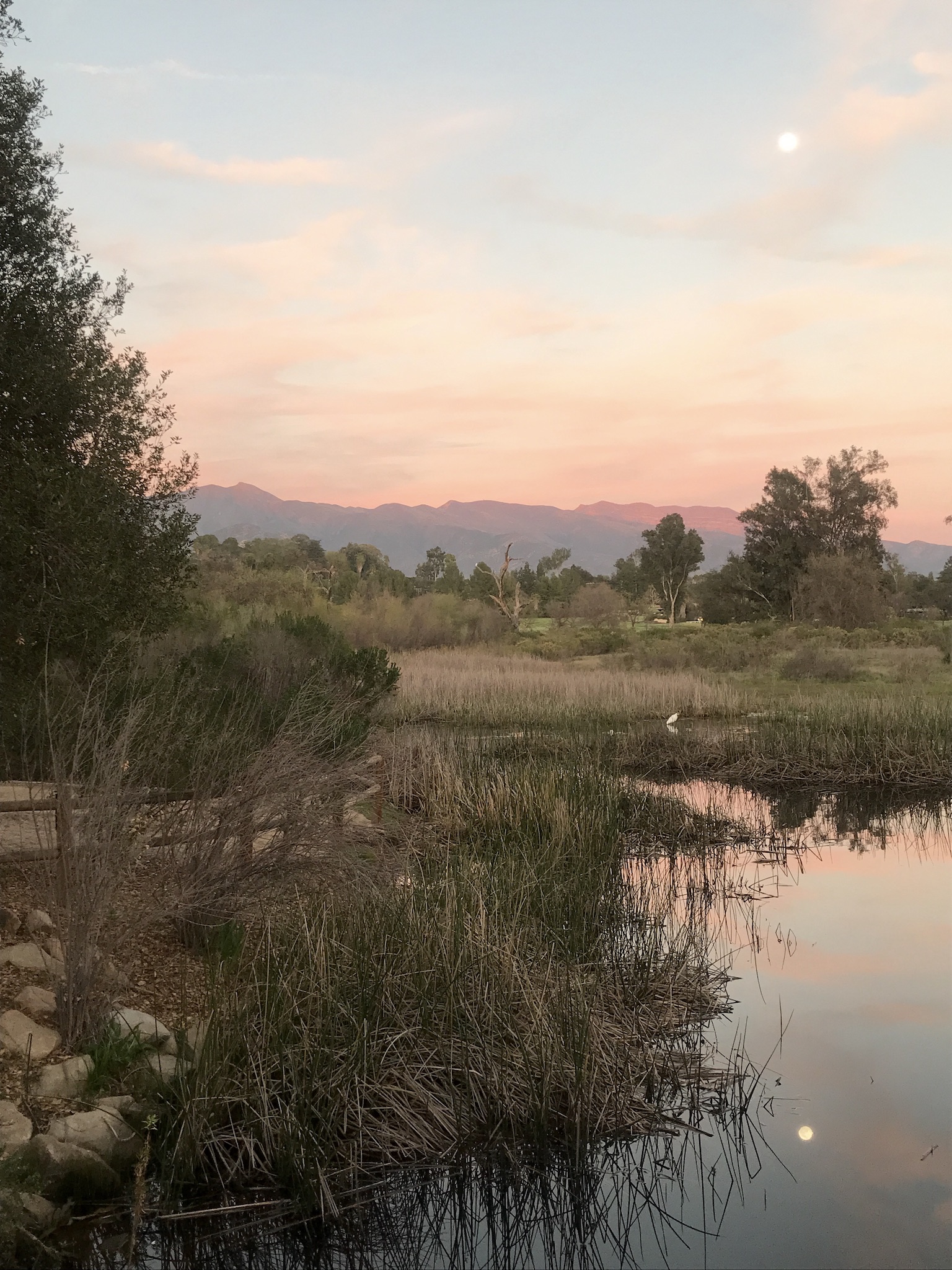 Moonrise at the Pink Moment from Ojai Meadows